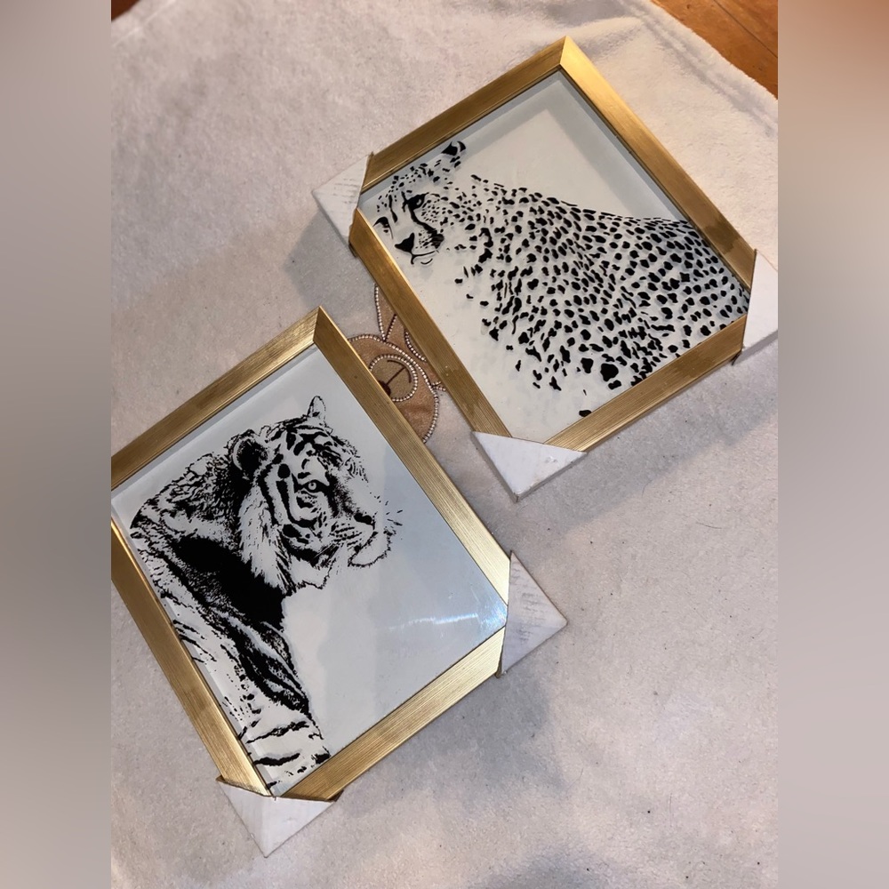 Safari bedroom decor brand new 💛